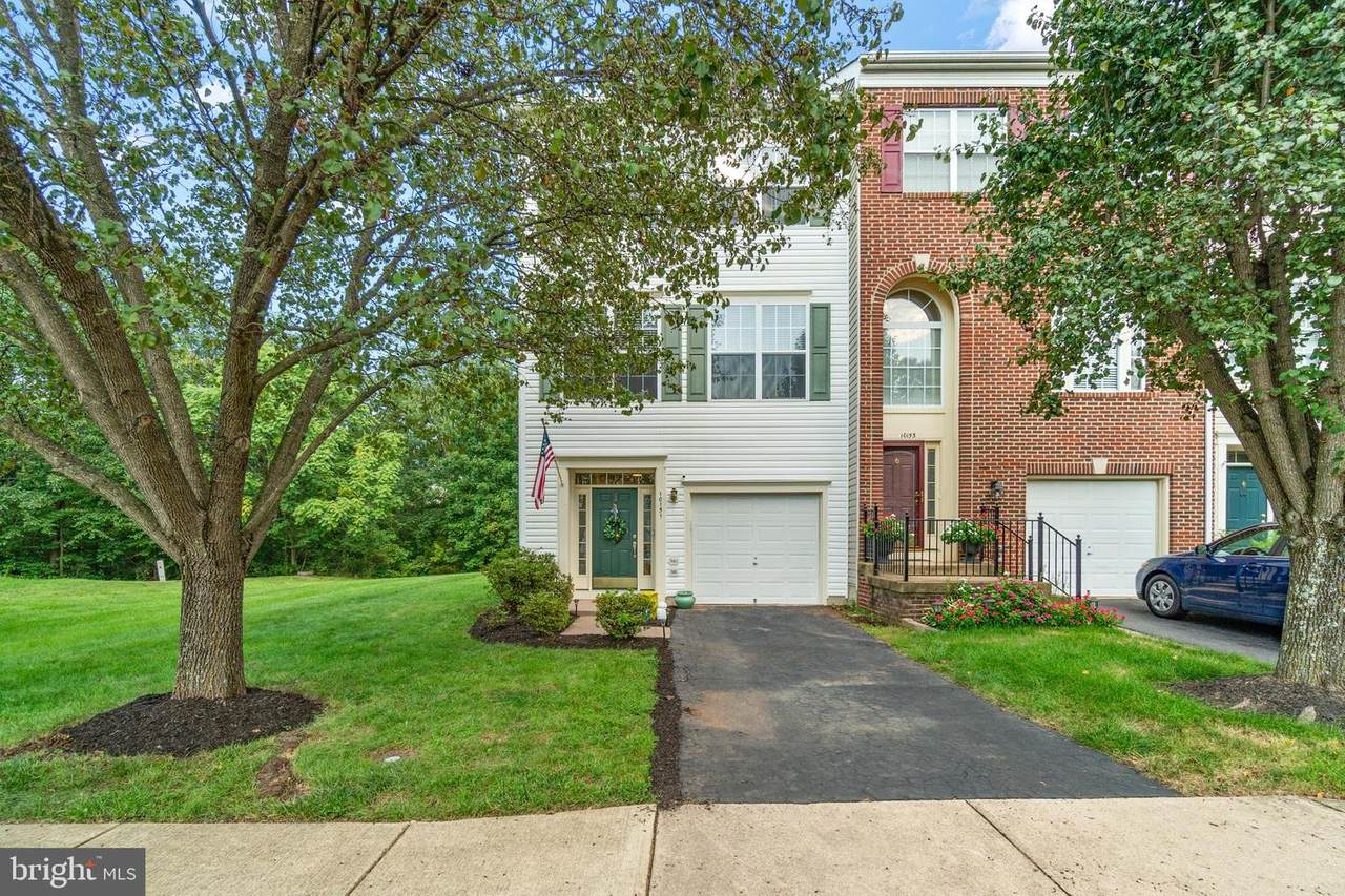 10151 Pale Rose Loop - Photo 1