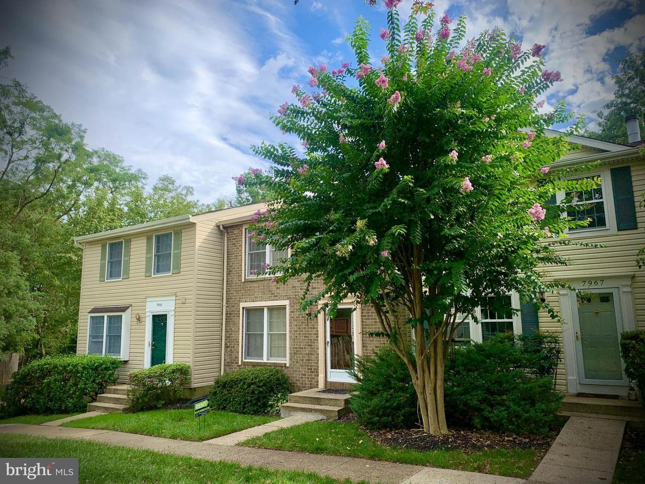 7965 Tyson Oaks Circle - Photo 1