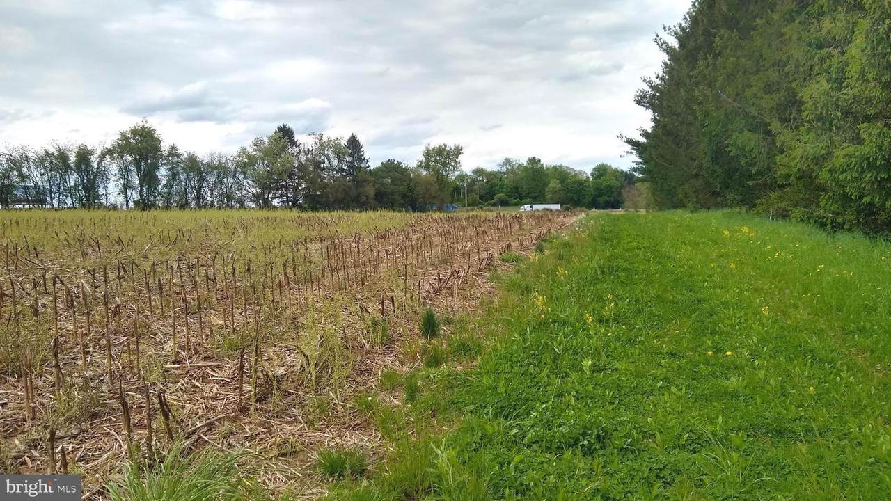 277 Yoder Road - Photo 1