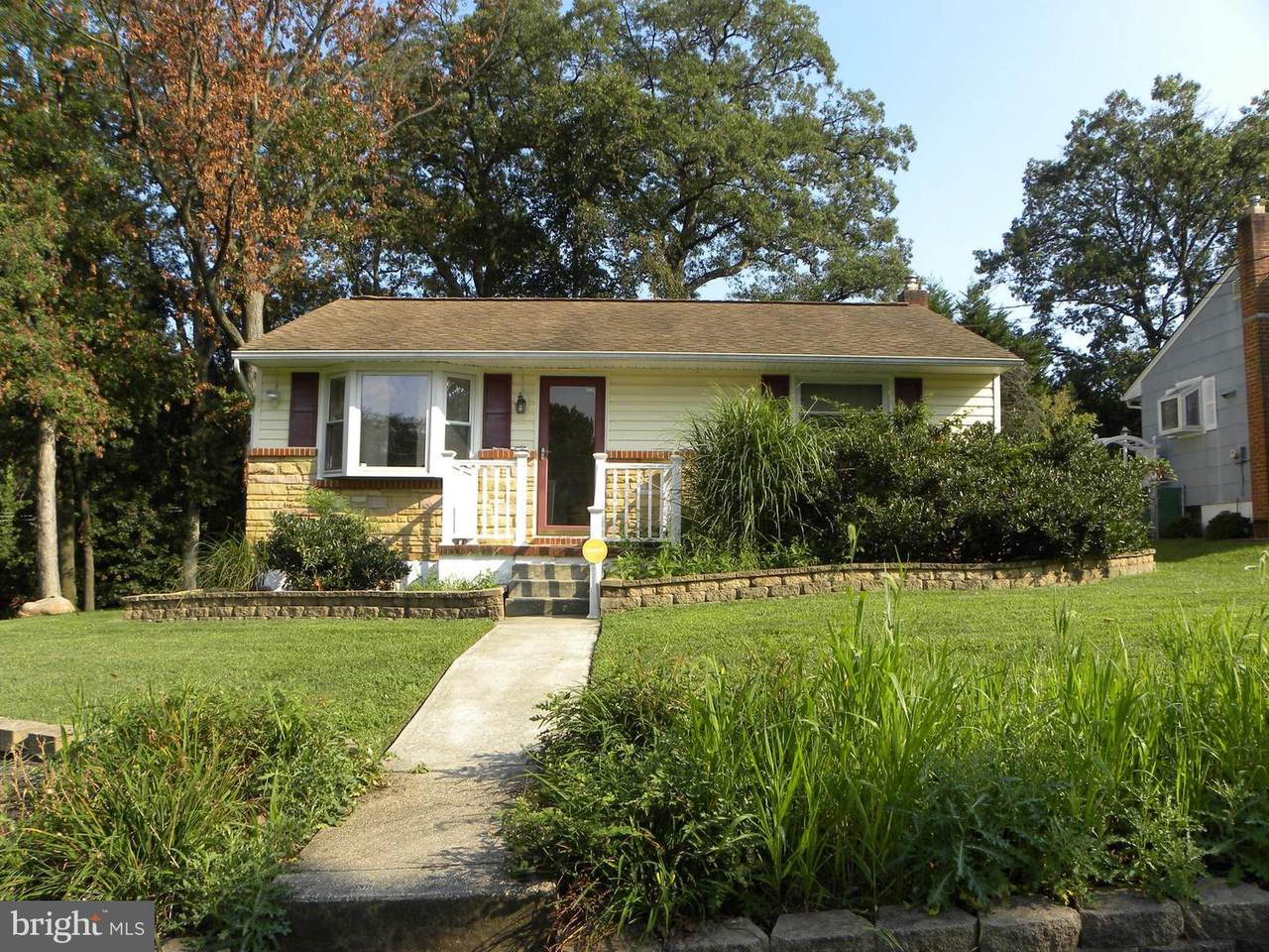 15 Mapledale Avenue - Photo 1