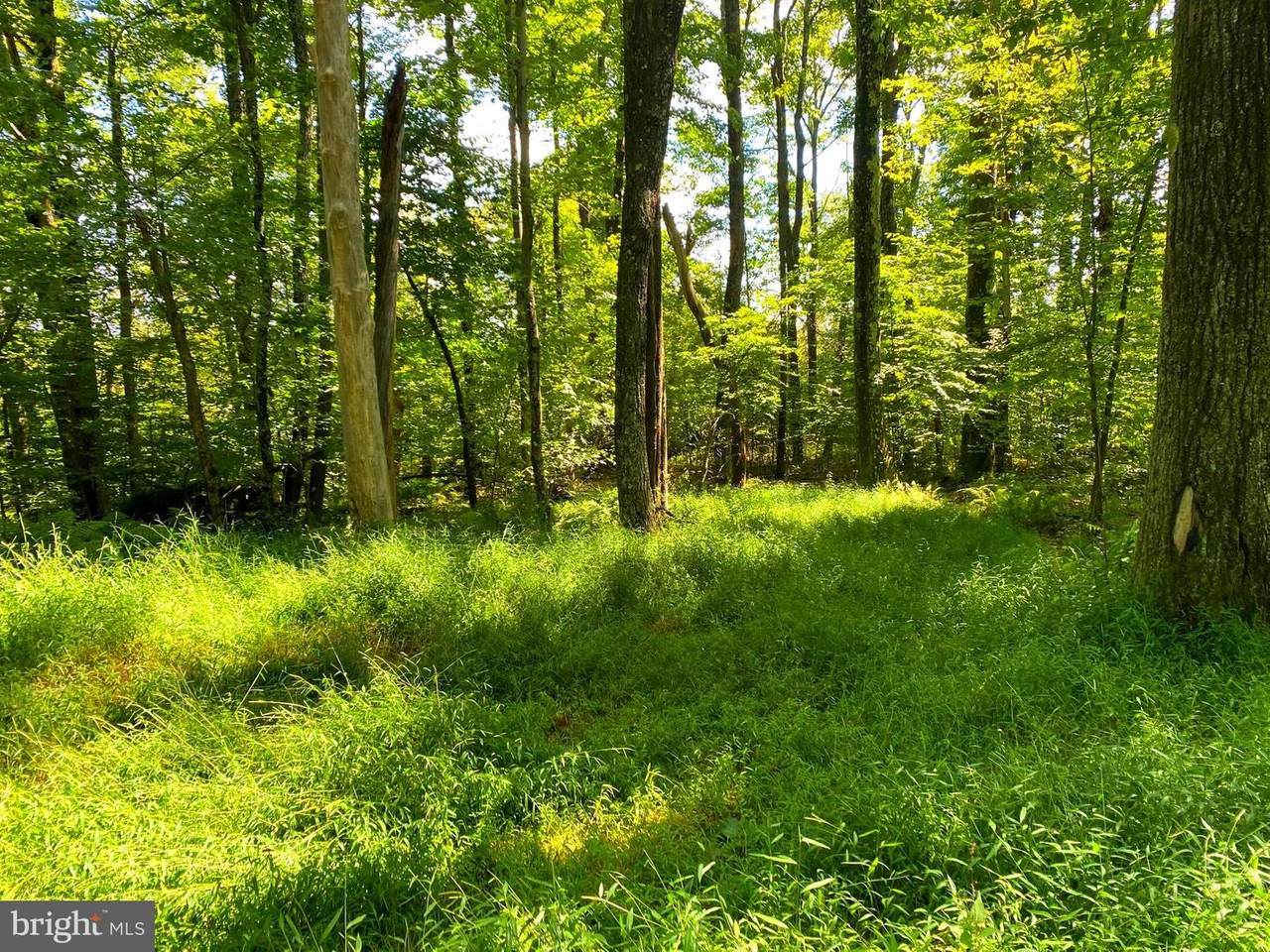 Lot 4 Birchwood Drive - Photo 1