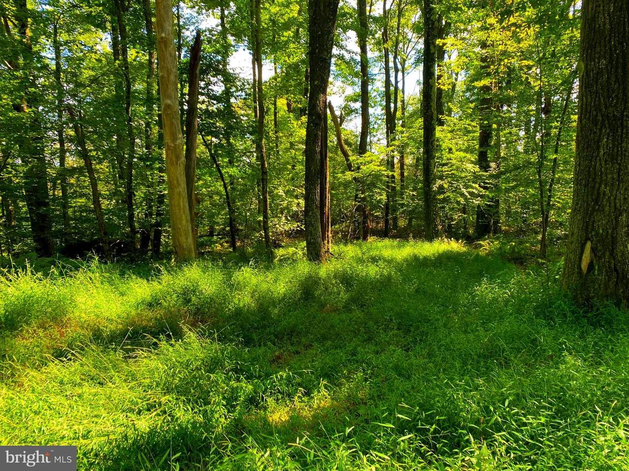 Lot 5 Birchwood - Photo 1