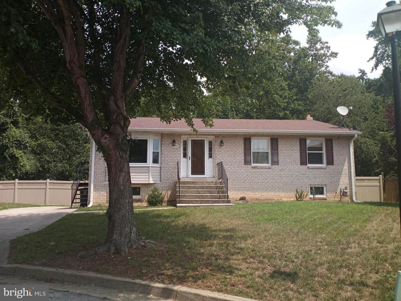 11600 Sylvia Lane - Photo 1
