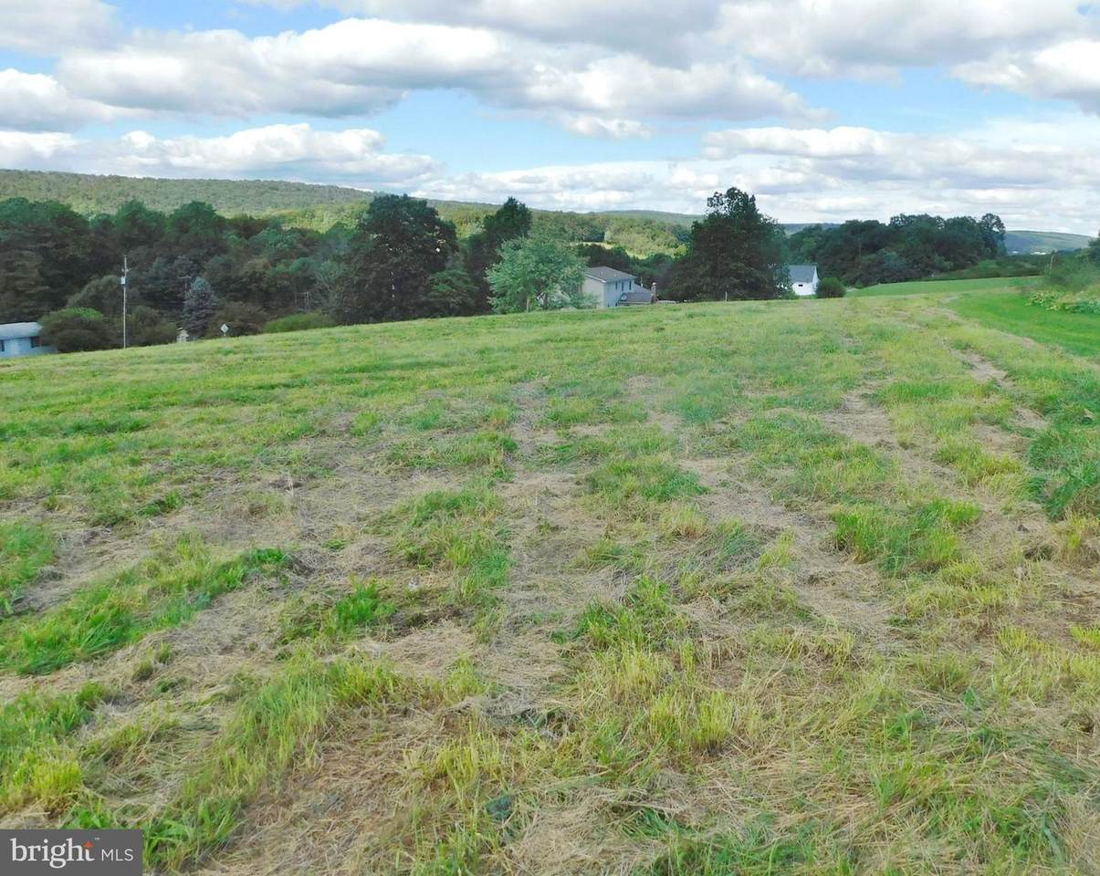 Lot 2 Coon Rd - Photo 1