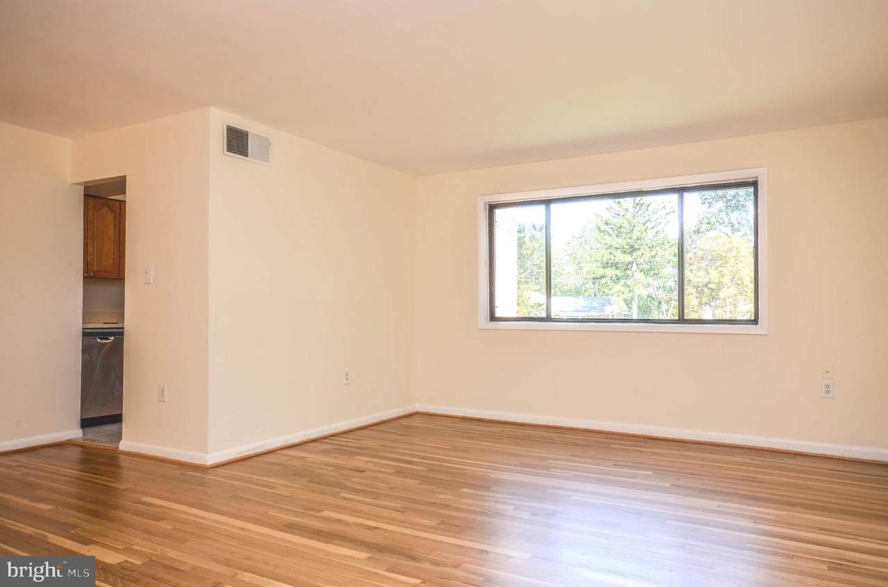 11508 Bucknell Drive - Photo 1