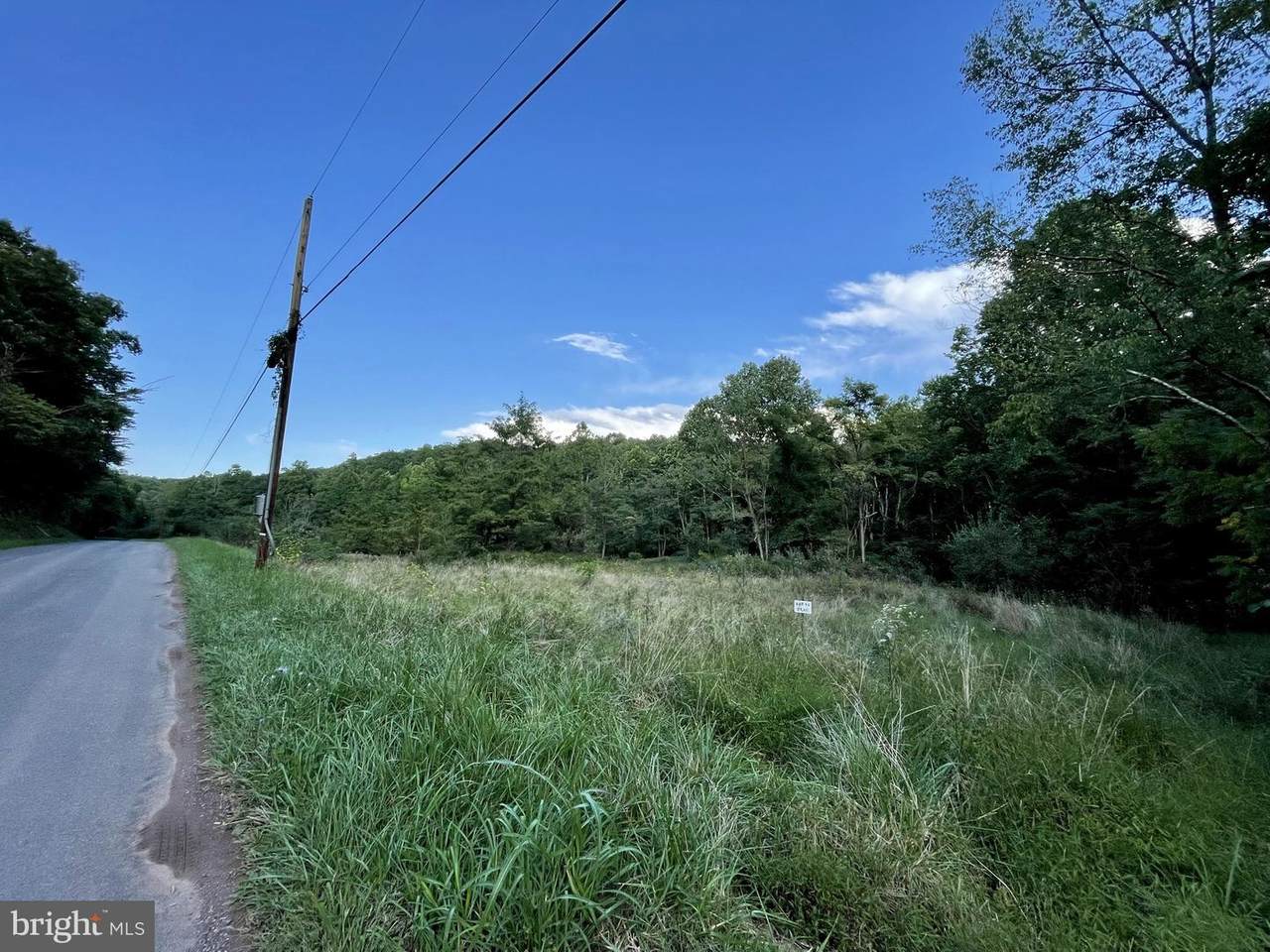 1246 Critton Owl Hollow Road - Photo 1