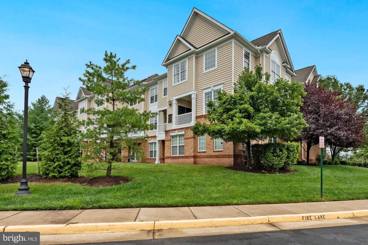 43371 Locust Dale Terrace - Photo 1