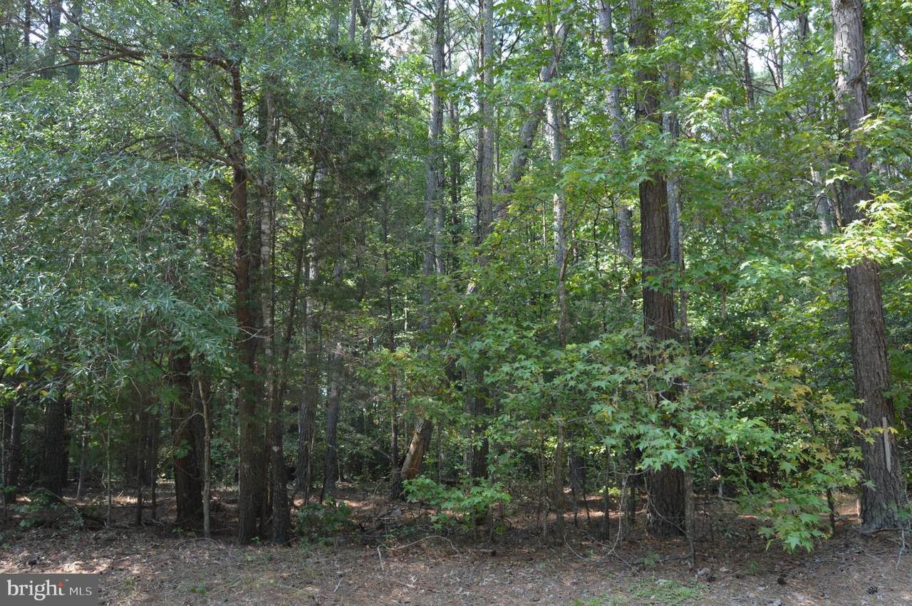Spruce Drive - Photo 1