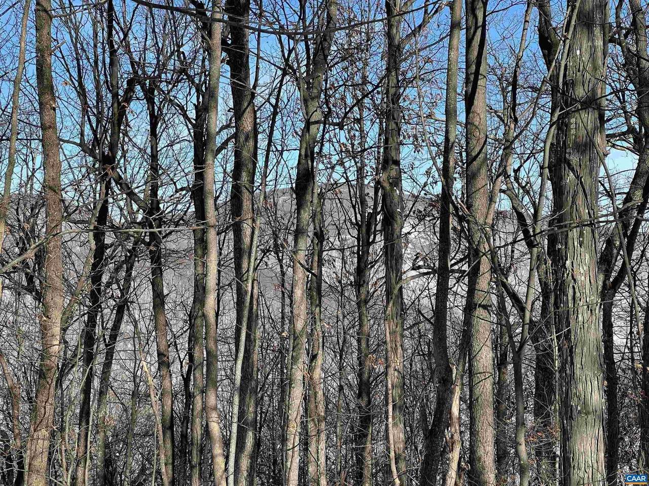 TBD Shamokin Springs Trl - Photo 1