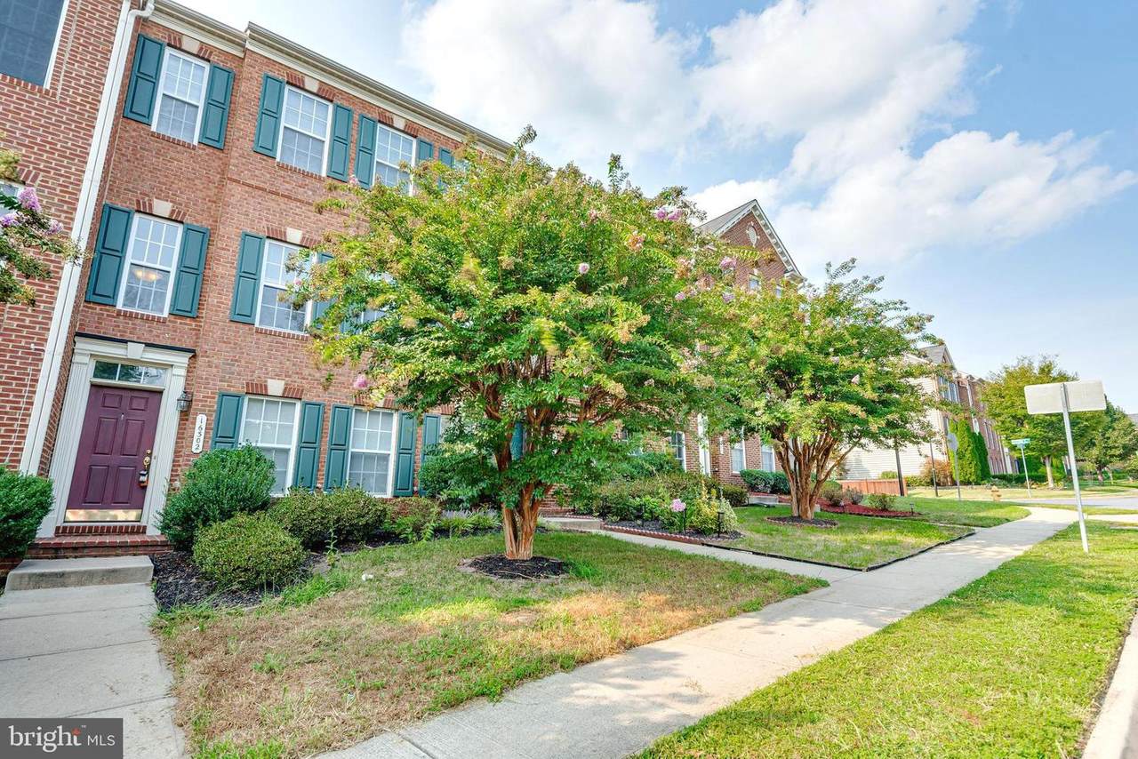 16302 Catenary Drive - Photo 1