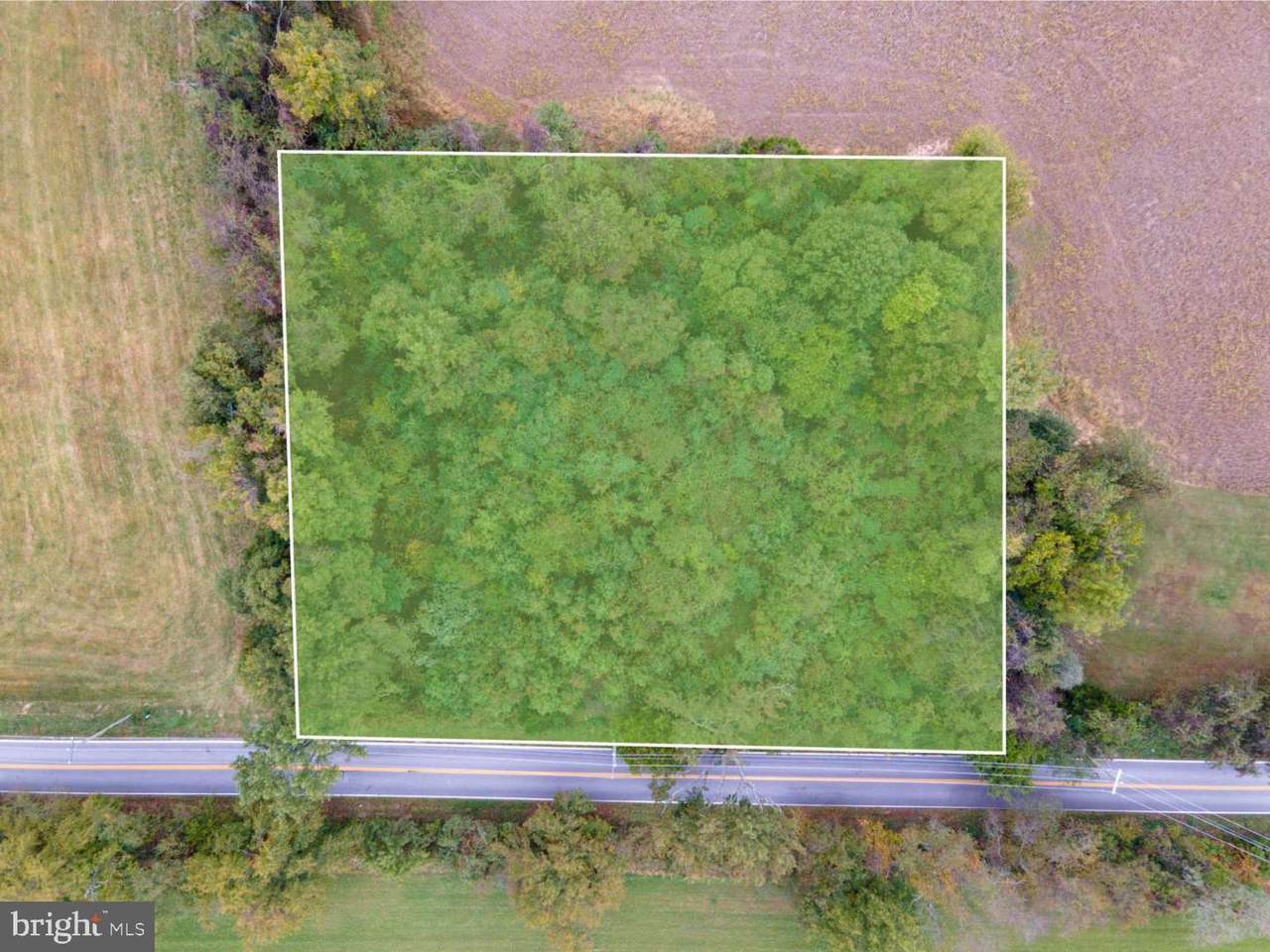 3031 Old Telegraph Road - Photo 1