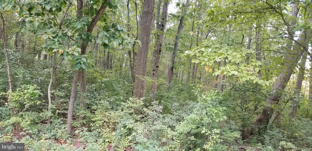 0 Tuckahoe Road - Photo 1