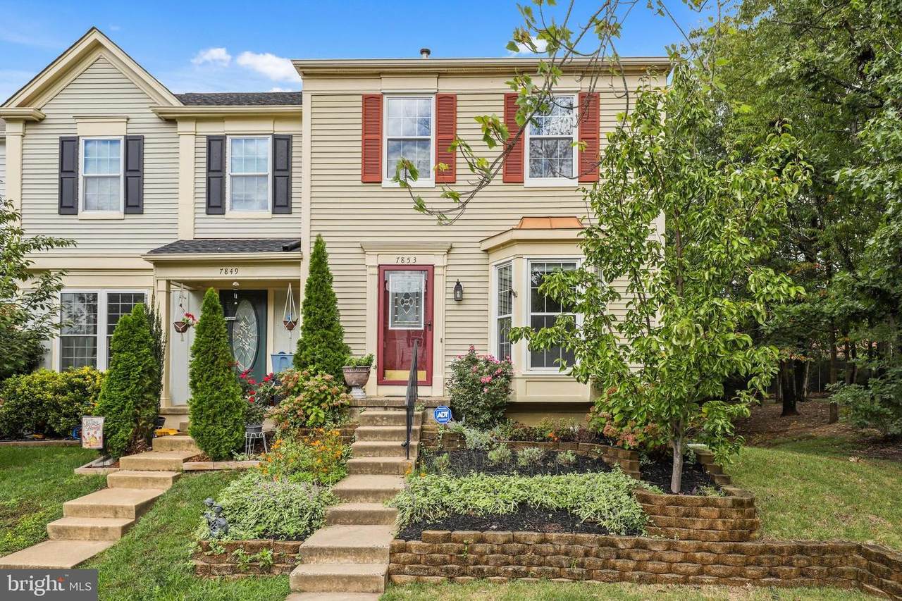 7853 Rebel Walk Drive - Photo 1