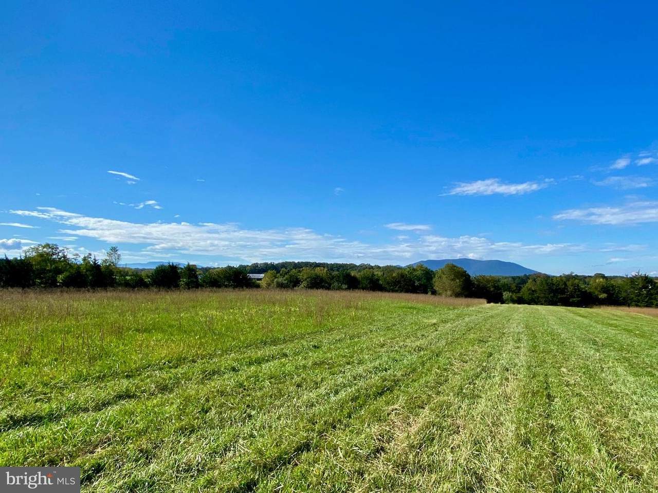 LOT 1 Huttle Road - Photo 1