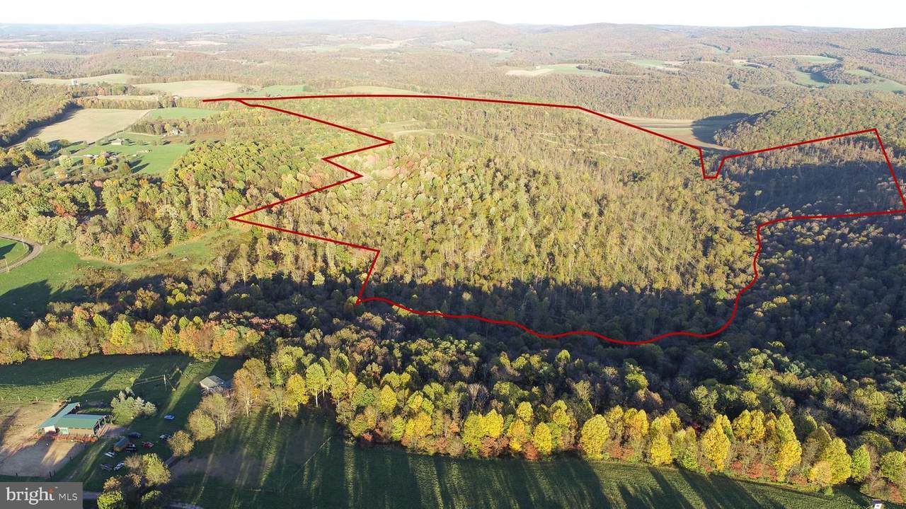 Frazee Ridge Road - Photo 1