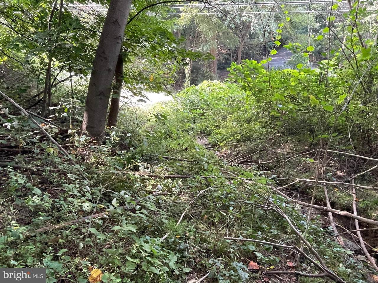 813 May Post Office Road - Photo 1