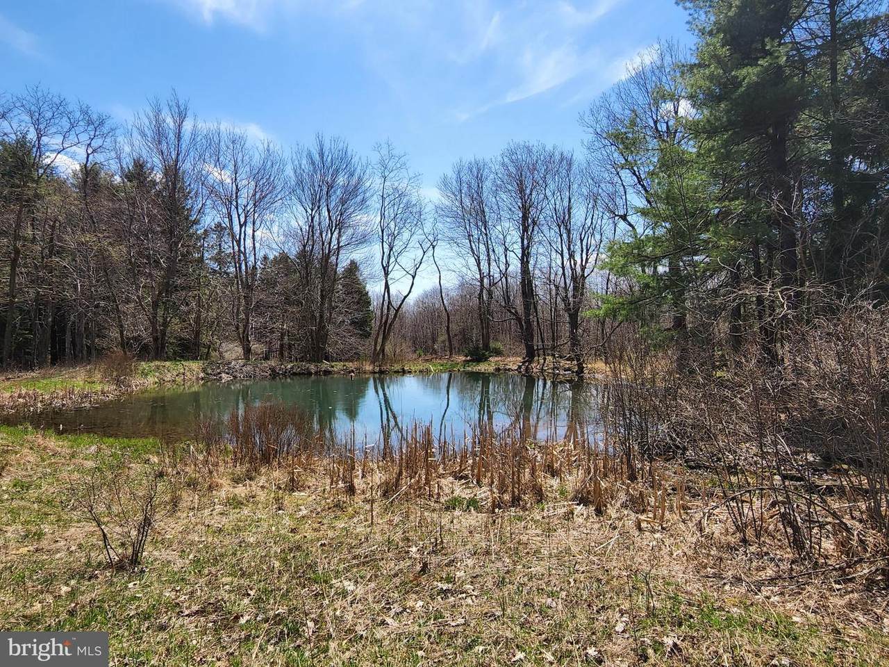 122 Mt. Zion Road - Photo 1
