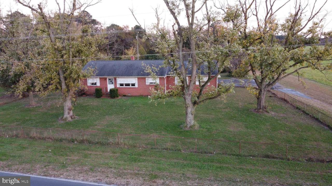 34395 Susan Beach Road - Photo 1