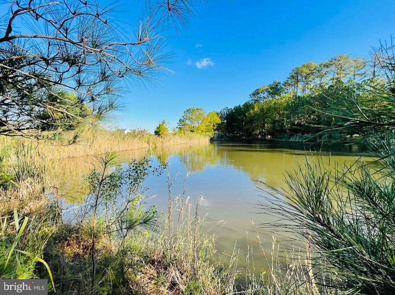 2825 Hoopers Island Rd - Photo 1