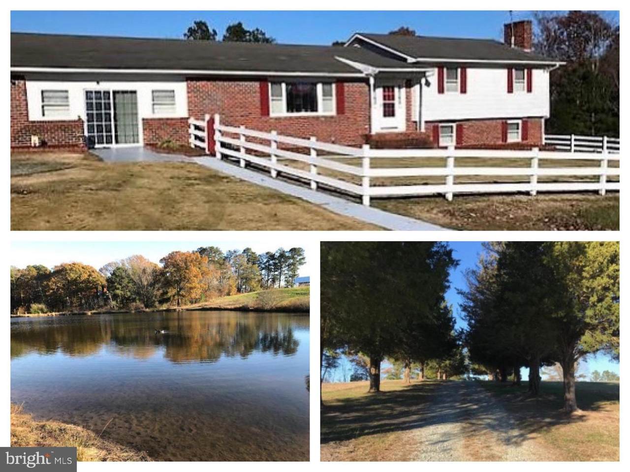 31323 Tidewater Trail - Photo 1