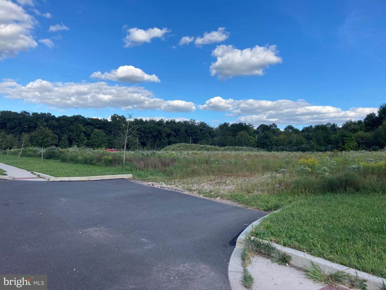 900 Clymer Avenue - Photo 1
