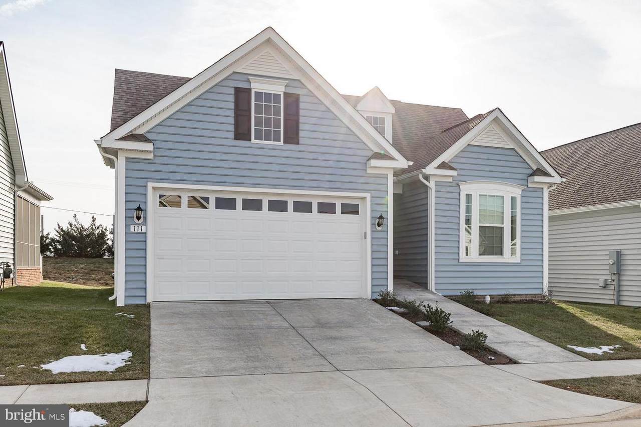 111 Bluets Drive - Photo 1