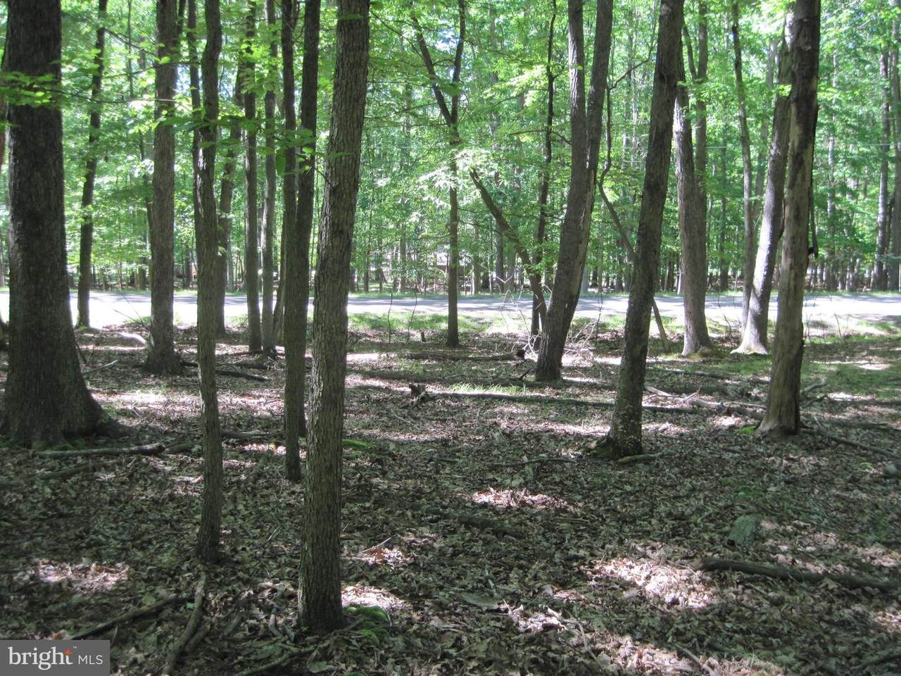 232 Muskegon - Photo 1