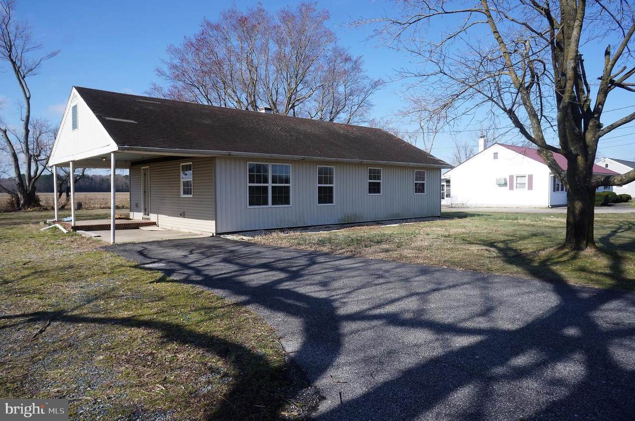 28272 Dagsboro Road - Photo 1