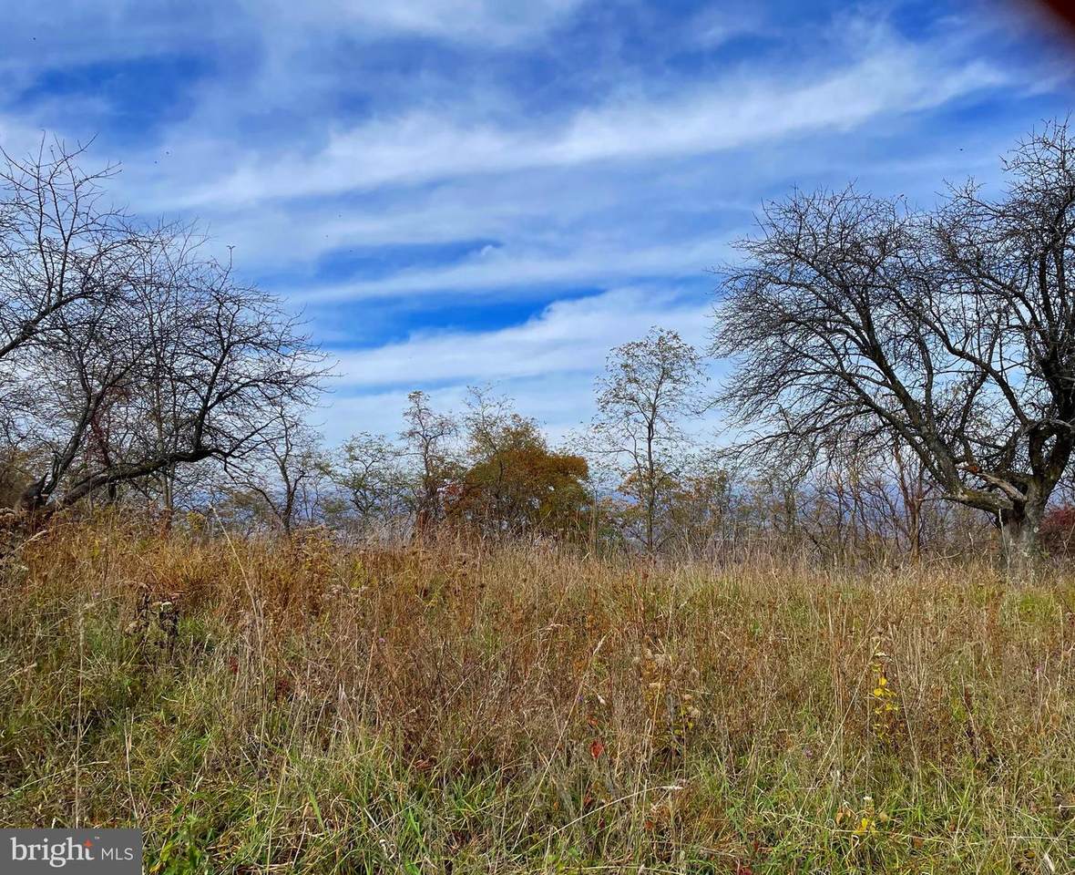 57 Apple Ridge Road - Photo 1