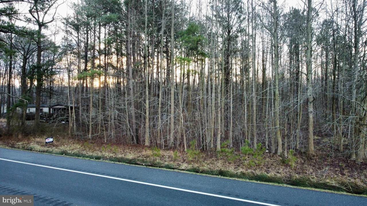 0 Laurel Road - Photo 1