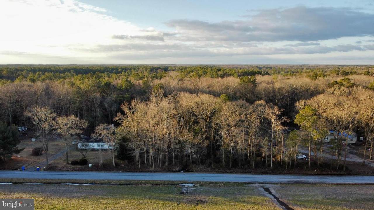 00 Saunders Road - Photo 1