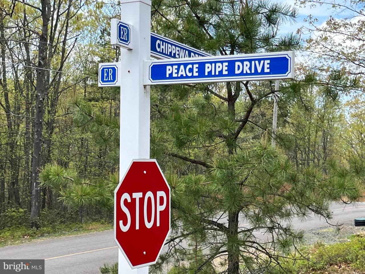 Lot 66 Peace Pipe Drive - Photo 1