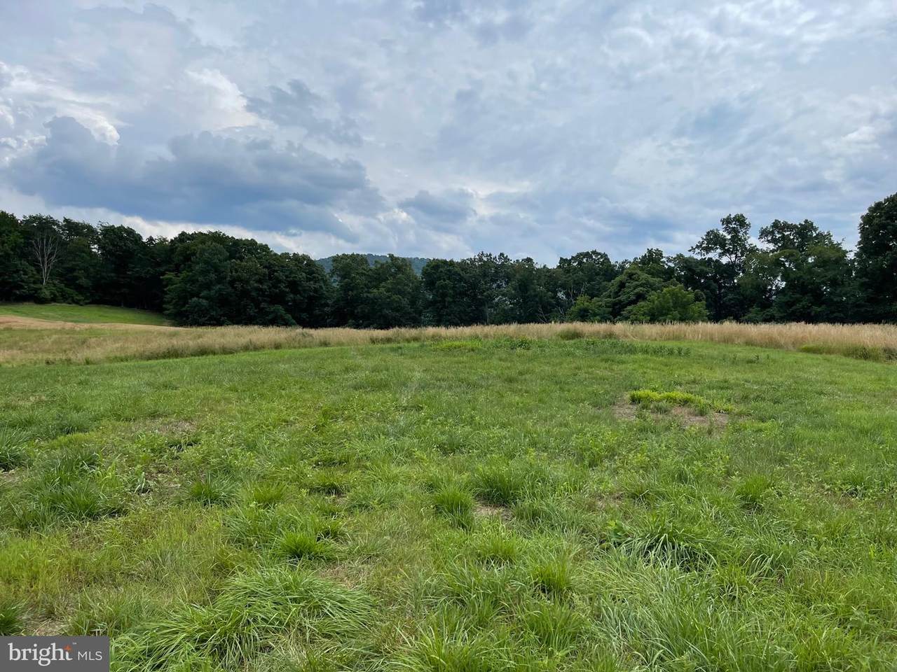 6800 Martinsburg Rd - Photo 1