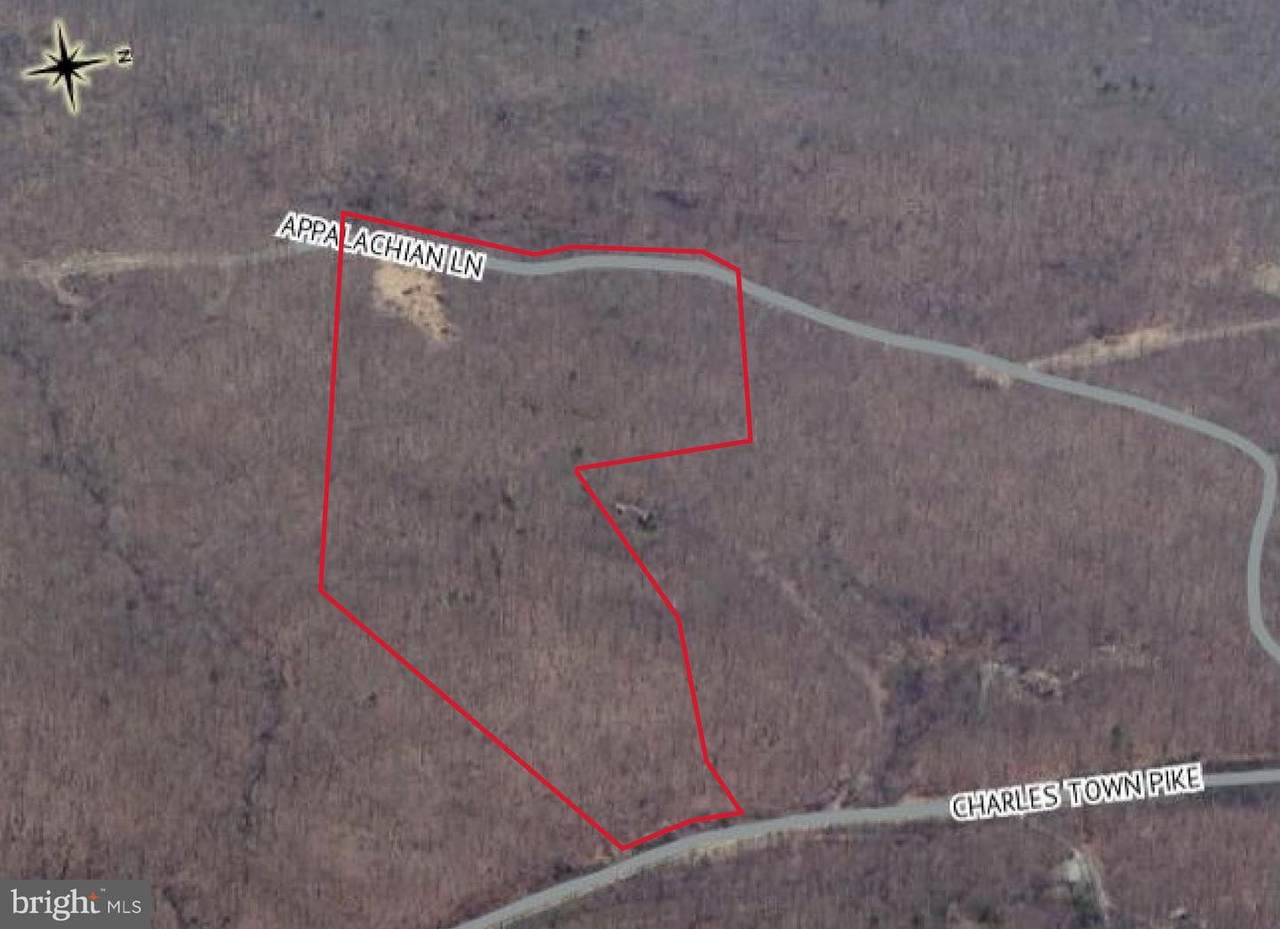 1B Appalachian Trail - Photo 1