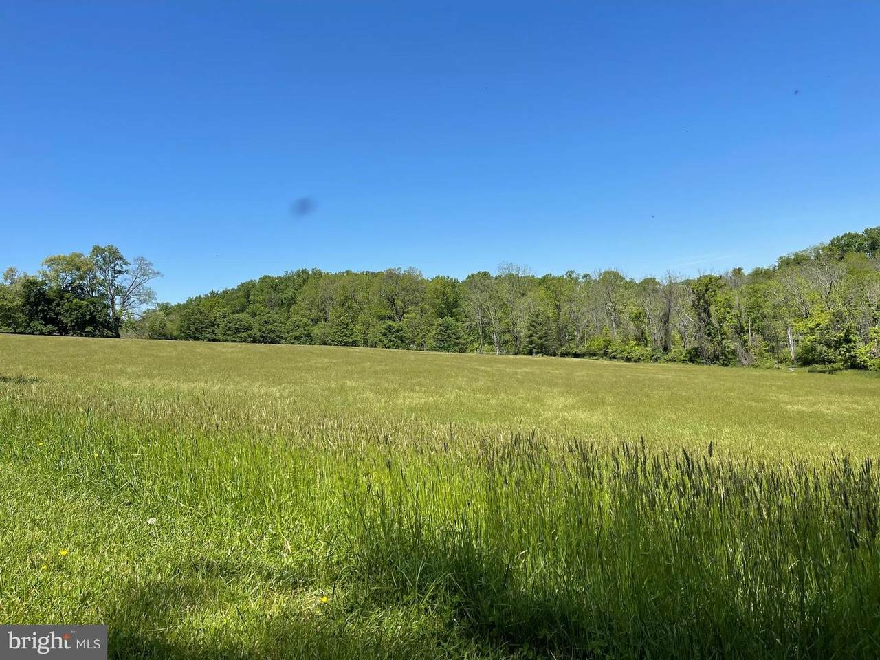800 Fairville Road - Photo 1