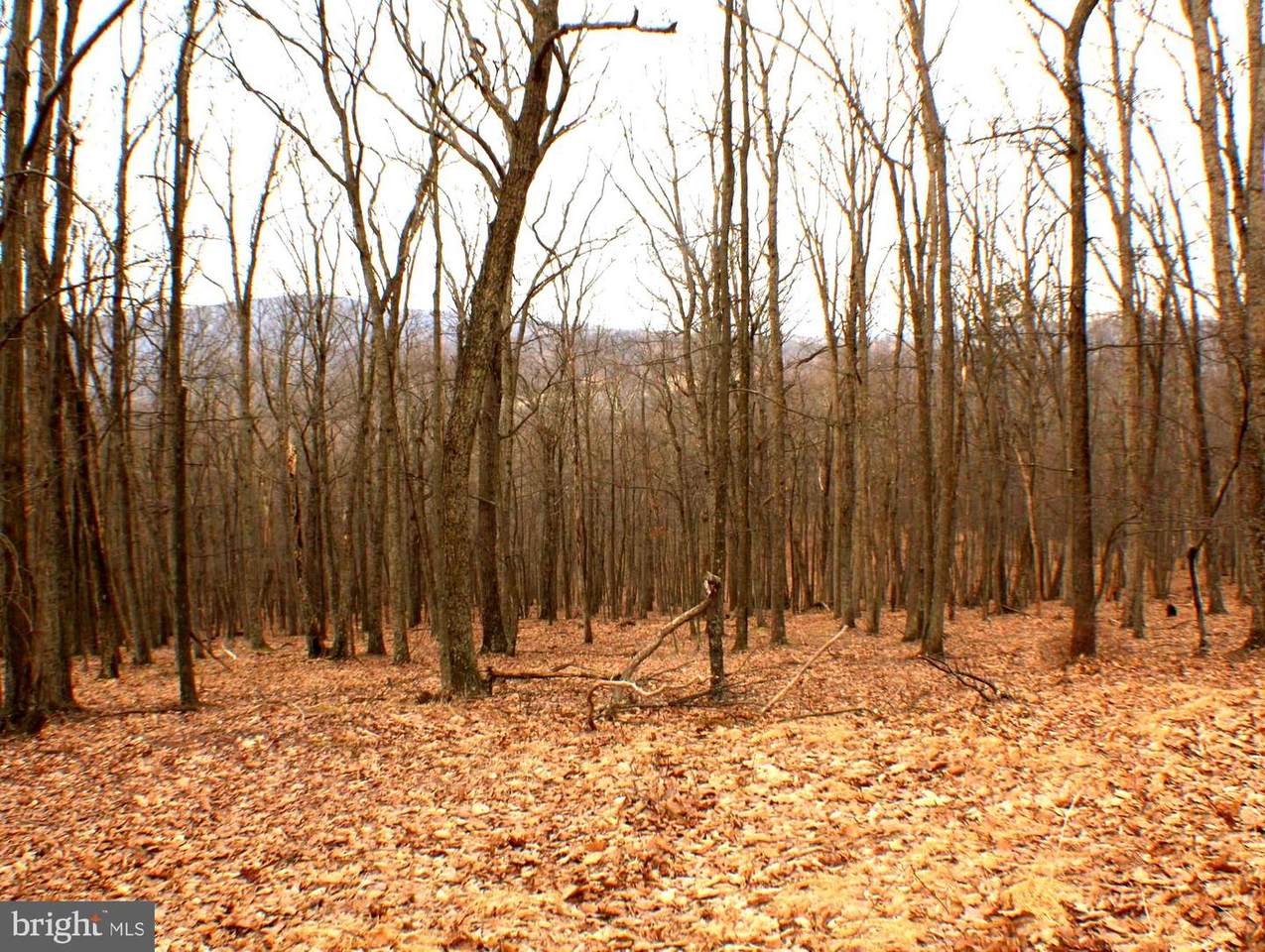 28A & B Cove Creek Road - Photo 1
