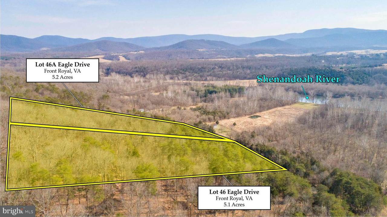 Lot 46A Eagle Drive - Photo 1