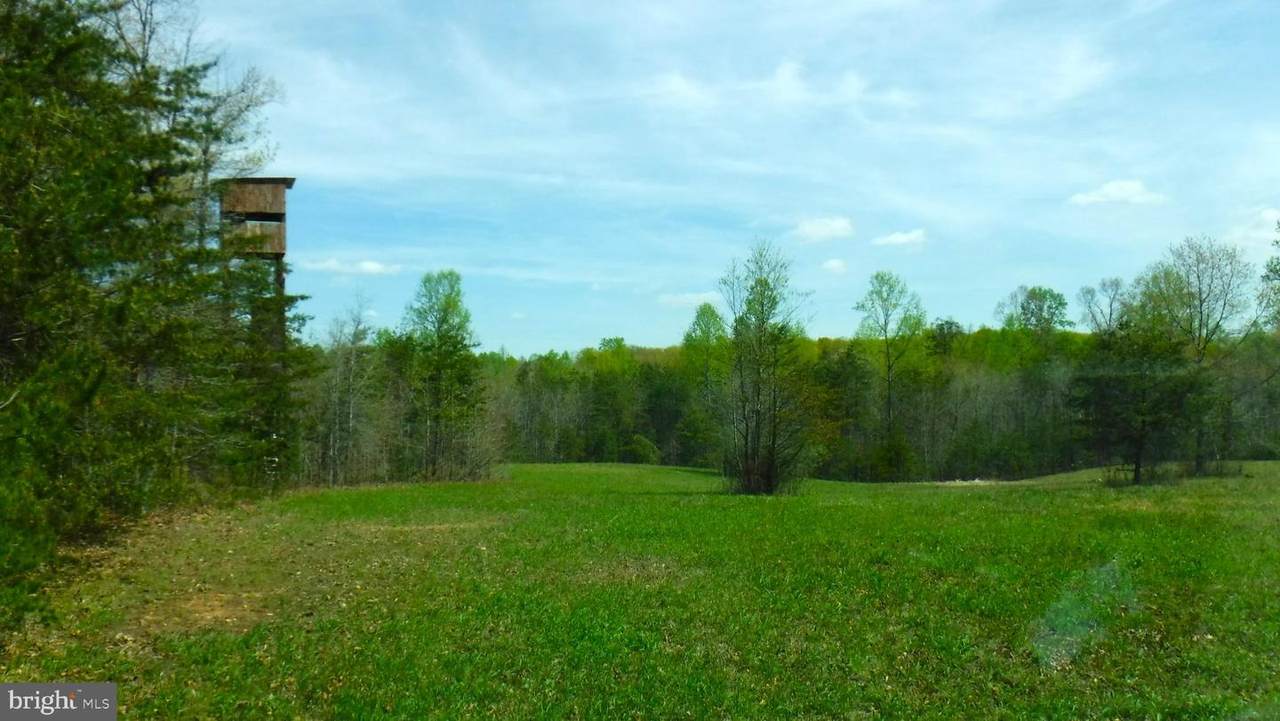 Lot 33A, 33B Shirley Rd - Photo 1