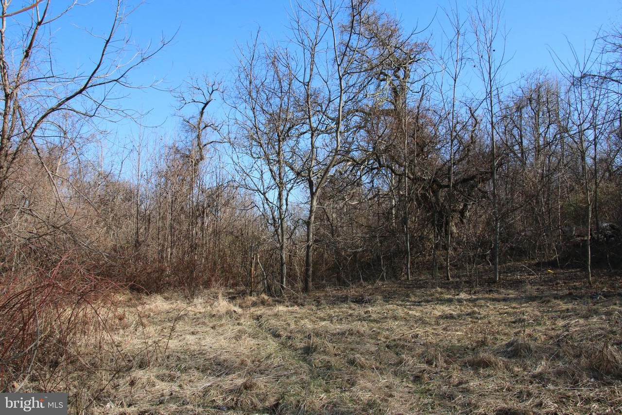 3725 Cherry Hill Road - Photo 1