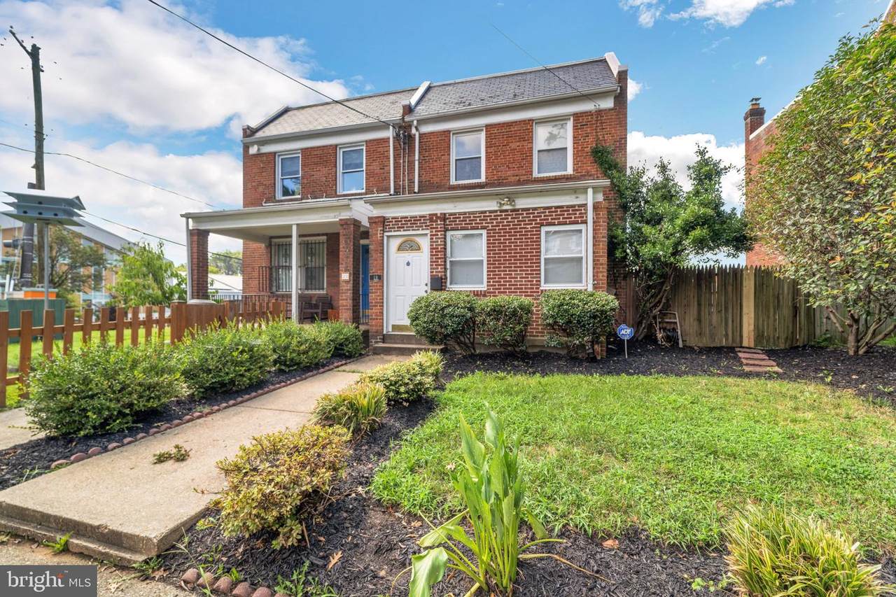 19 Hamilton Street - Photo 1
