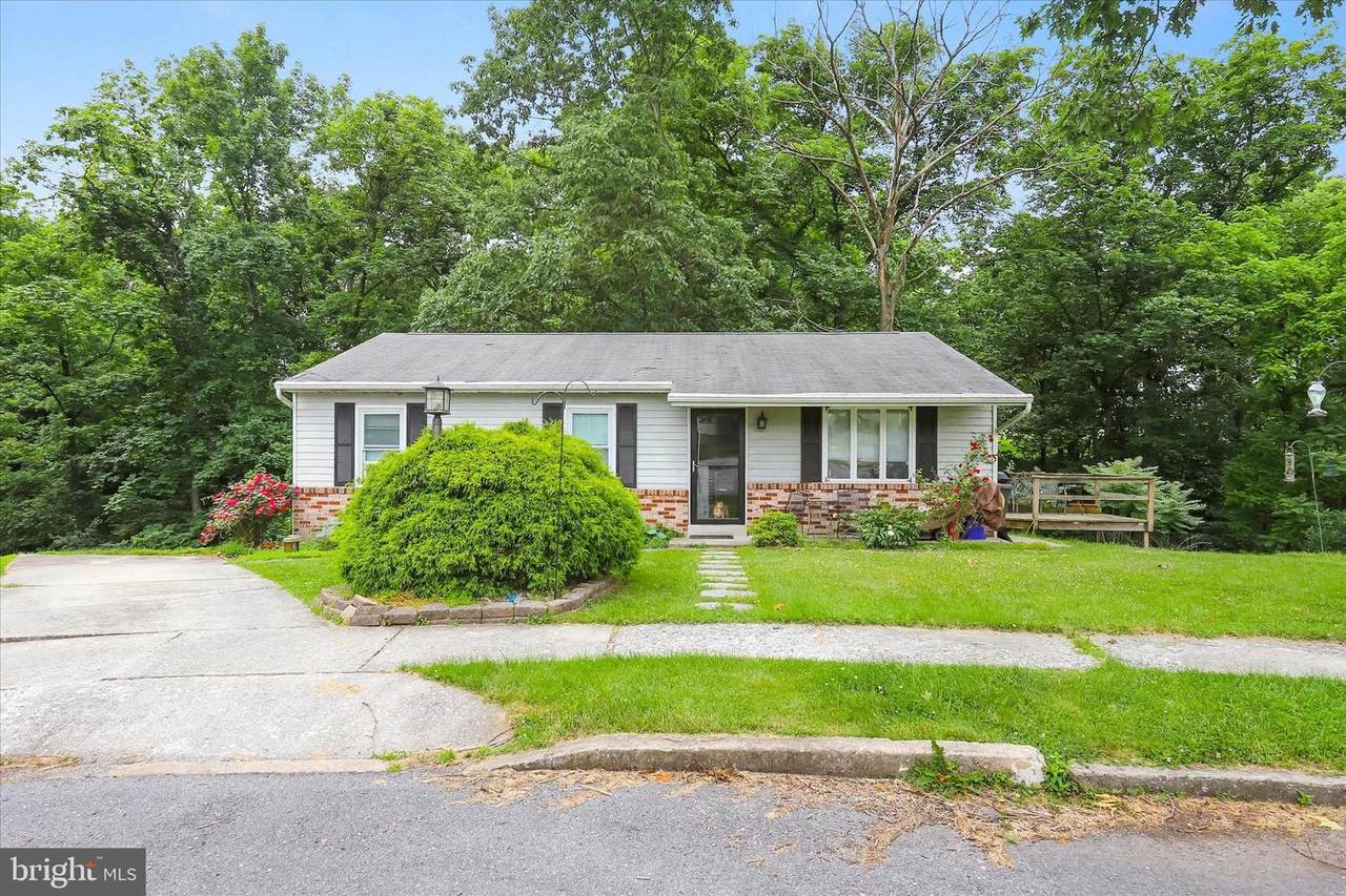 1116 Old Pond Road - Photo 1