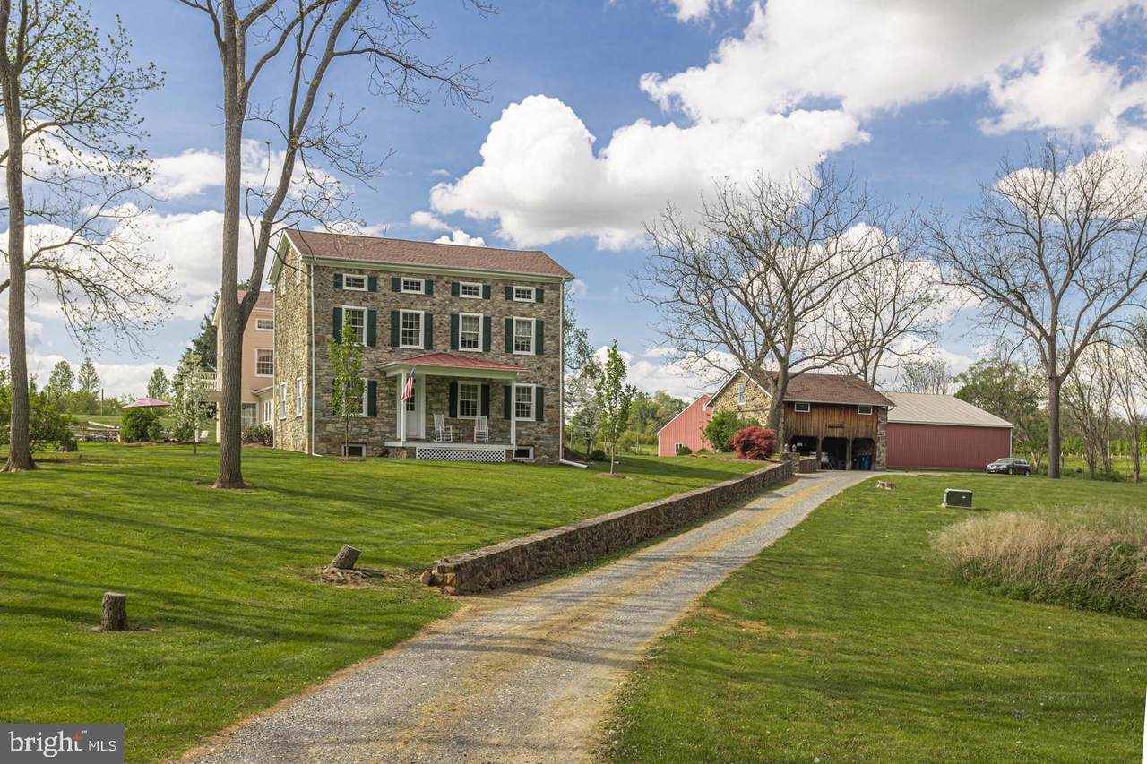 6025 Lower Mountain Road - Photo 1