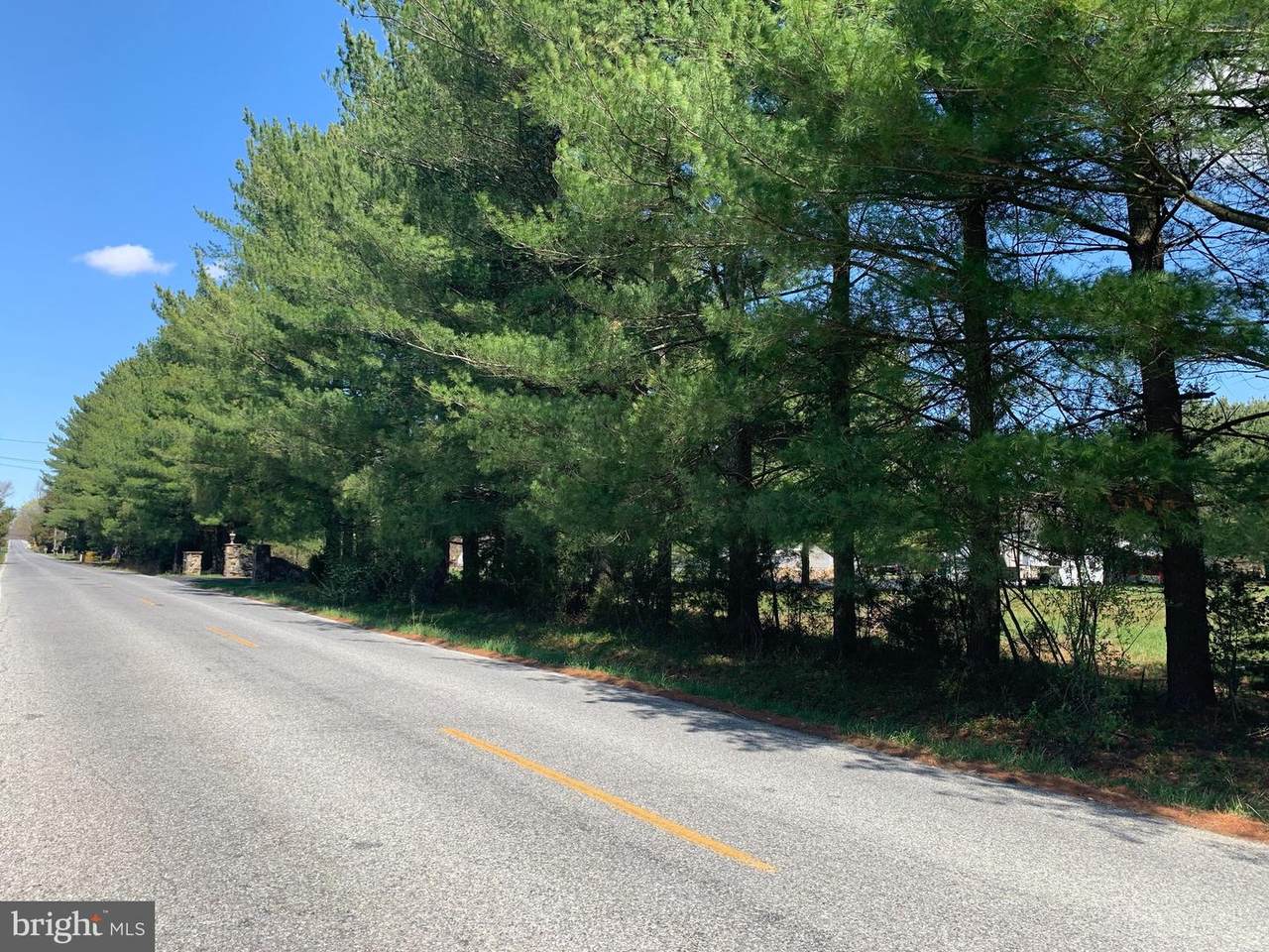 0 Fork Bridge Road - Photo 1