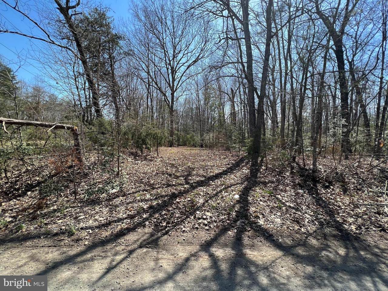 14204 Cedar Plantation Road - Photo 1