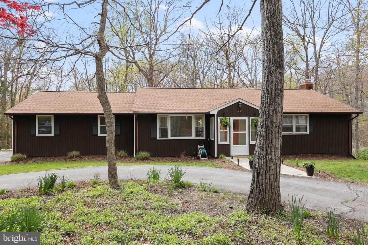 75 Pheasant Lane - Photo 1