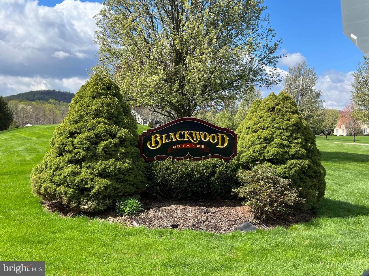 Lot 24 Blackwood Lane - Photo 1