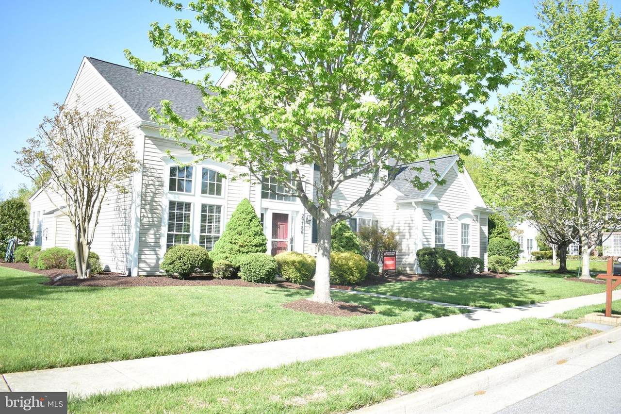 29786 Traceys Way - Photo 1