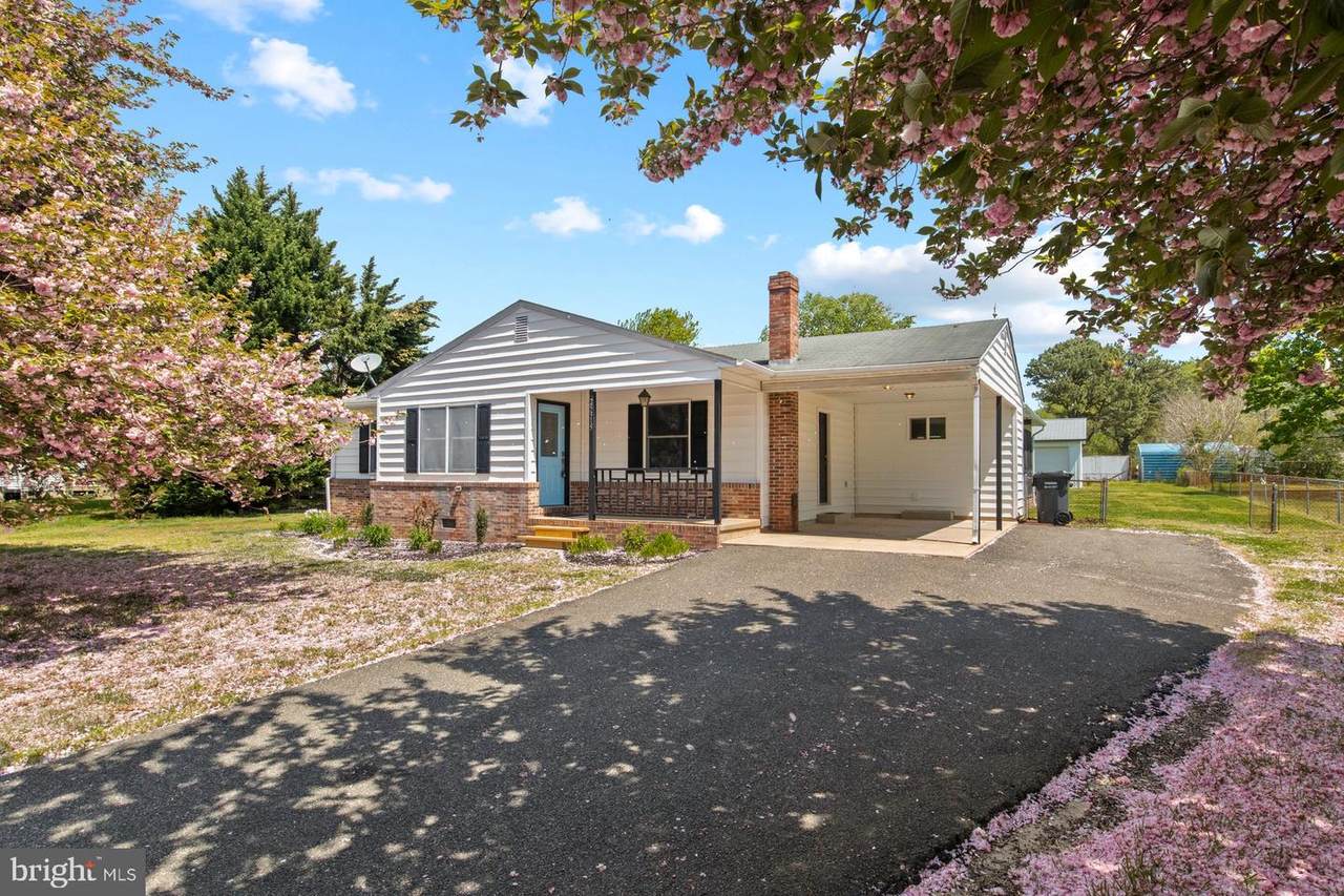 25315 Pinto Drive - Photo 1