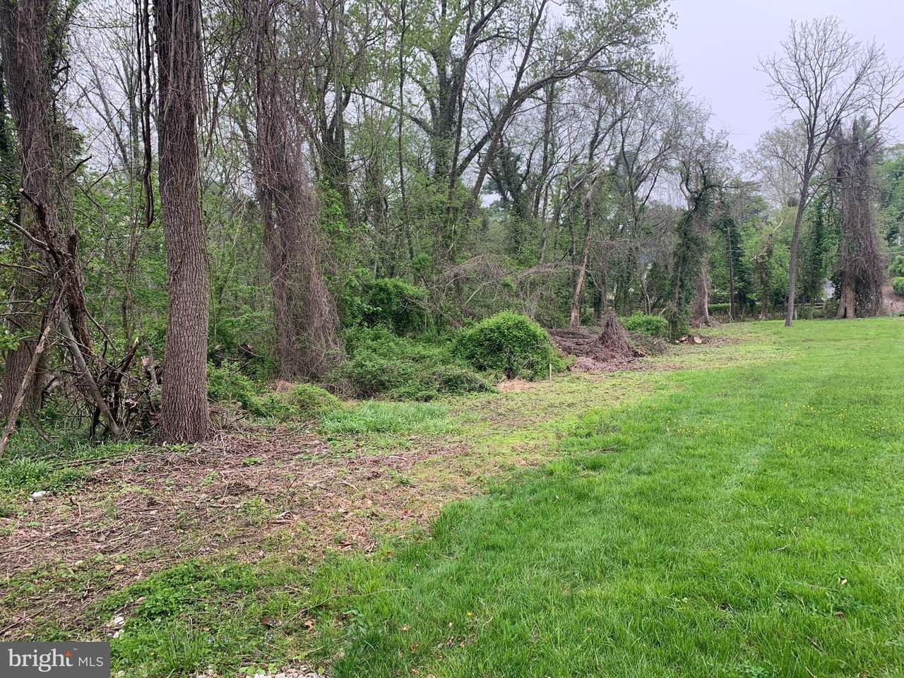 Old Orchard - Photo 1