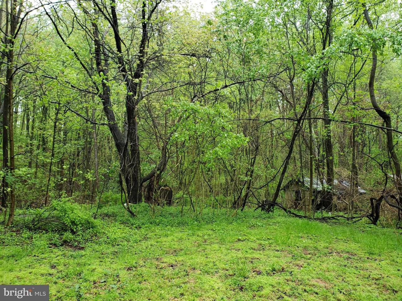 3816-A Jim Smith Lane - Photo 1